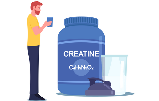 What Type of Creatine Is Best for Muscle Growth?